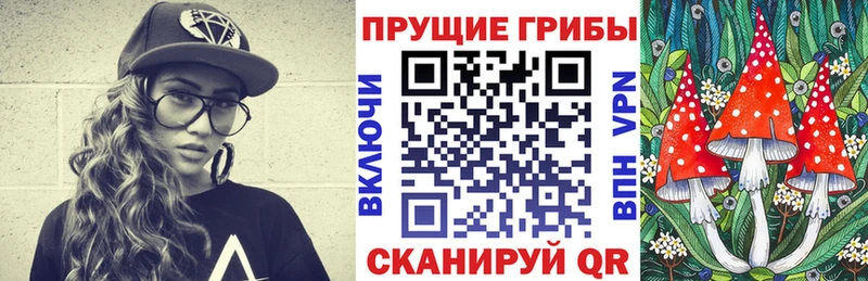 цены   Ливны  Галлюциногенные грибы мицелий 